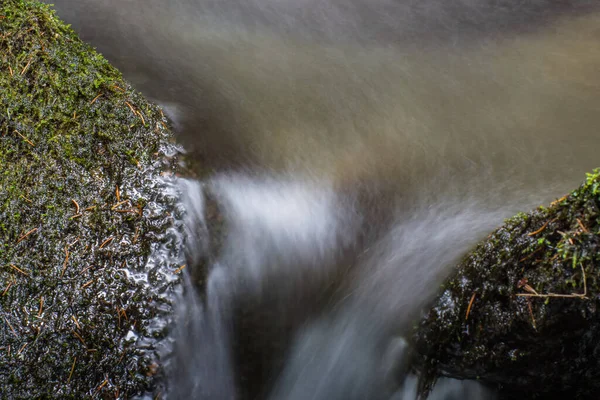 Rinne Mit Moos Einem Wasserfall Wald — Stockfoto