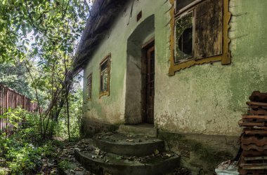 Orman manzaralı yeşil bir evden giriş.