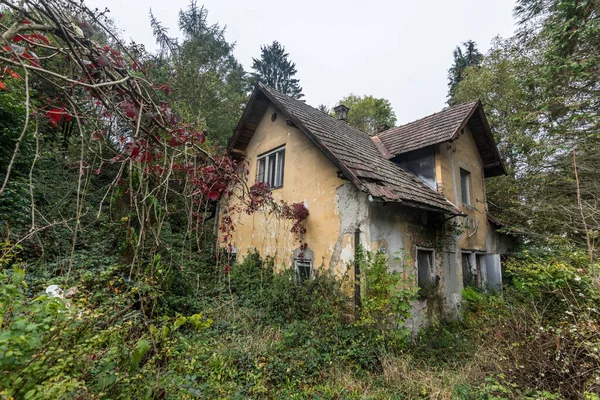 Дорослий Будинок Різнокольоровими Рослинами Восени — стокове фото