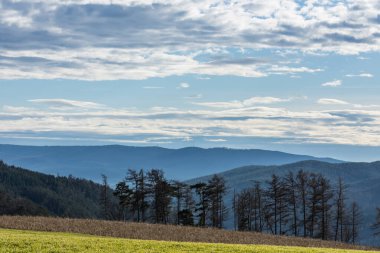 Baharda ağaçlarla ve gökyüzüyle birlikte manzara