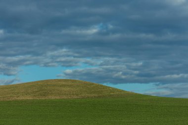 Gökyüzü ve bulutların olduğu bir yerde yeşilin iki farklı tonu.