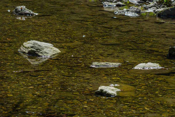 Pietre Luminose Ruscello Limpido Calmo Durante Escursioni — Foto Stock