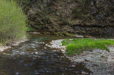 Doğada ve yazda yürüyüş yaparken