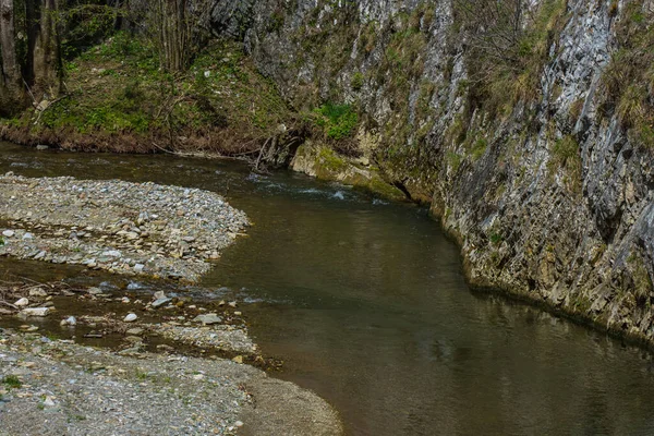 Riacho Uma Parede Rocha Natureza Enquanto Caminhadas — Fotografia de Stock