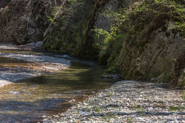 Riacho Com Pedras Uma Floresta Enquanto Caminhando Primavera — Fotografia de Stock