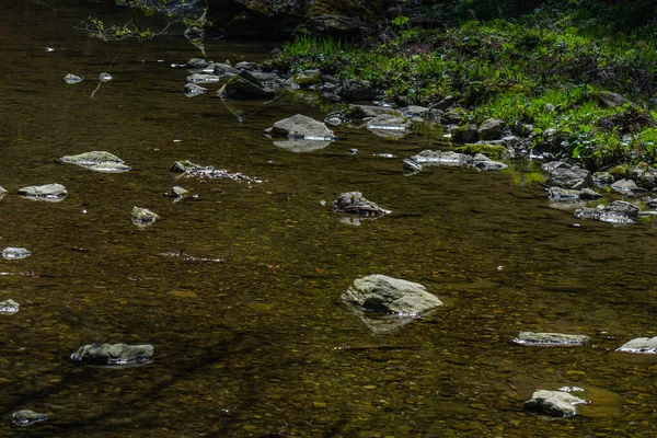 Muitas Pedras Brilhantes Riacho Calmo Enquanto Caminhadas — Fotografia de Stock
