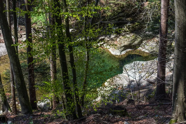 Wasser Und Felsen Einem Bach Wald Beim Wandern — Stockfoto