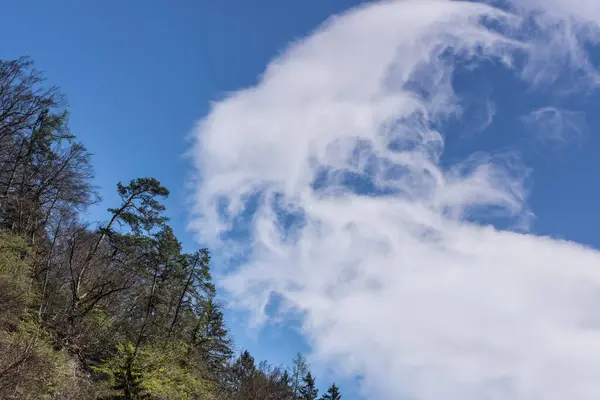 Підірвані Хмари Небі Деревами Горах — стокове фото