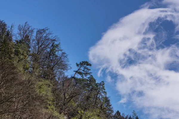 Хмари Вітрі Пейзажі Під Час Пішохідного Туризму — стокове фото