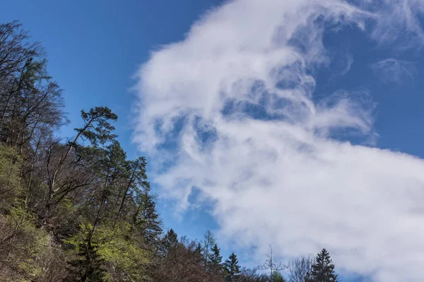 Landschaft Mit Bäumen Und Schönen Wolken Gebirge — Stockfoto