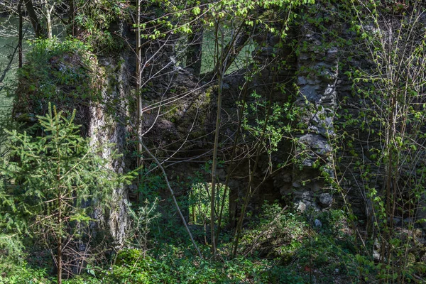 Opuštěný Starý Mlýn Lese — Stock fotografie