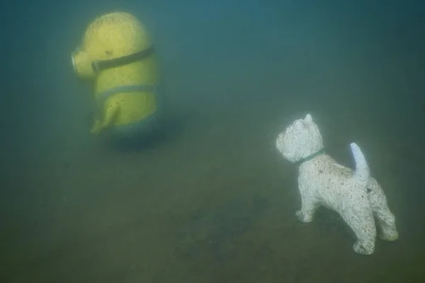 Σκύλος Και Τσιράκι Στο Έδαφος Από Μια Λίμνη Ενώ Καταδύσεις — Φωτογραφία Αρχείου