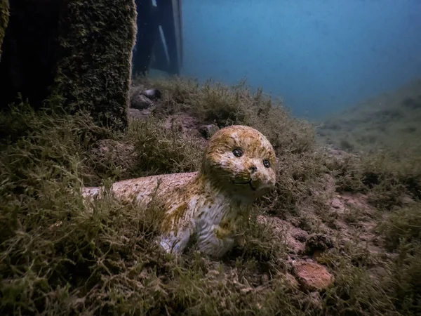 Seal Statue Ground Lake While Diving Summer — Stock Photo, Image