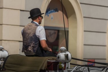 Siyah şapkalı taksici Viyana 'da bir arabada