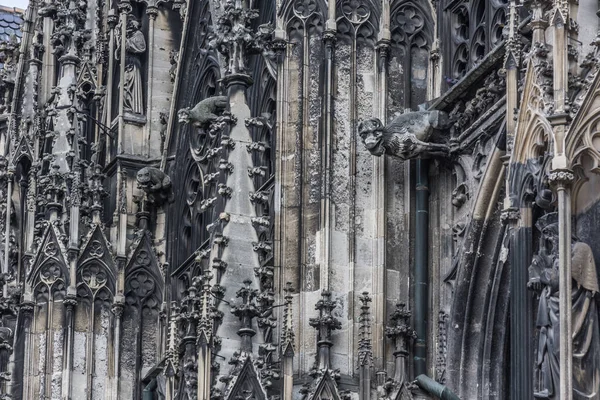 Ornated Church Saint Stephans Cathedral Detail View — Stock Photo, Image