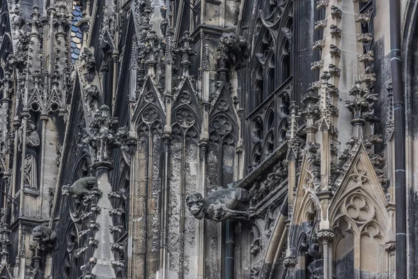 Ornamentos Detallados Edificio Catedral San Esteban Viena — Foto de Stock