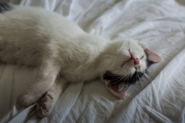 Sevgili sakin yatar ve bir yatakta uyur.