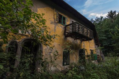 Ormanda ve doğada büyümüş sarı bir ev.