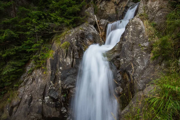 Pequeña Cascada Sobre Rocas Bosque Verano —  Fotos de Stock