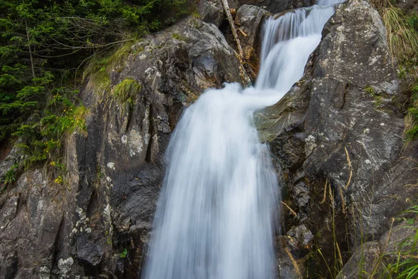 Kleiner Wasserfall Mit Felsen Wald Detailansicht — Stockfoto