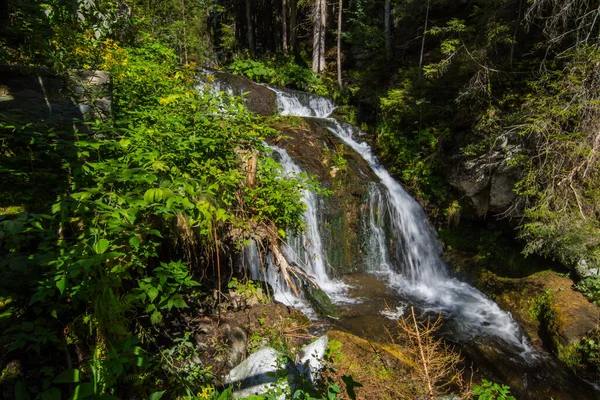 Wasserfall Mit Pflanzen Wald Beim Wandern — Stockfoto