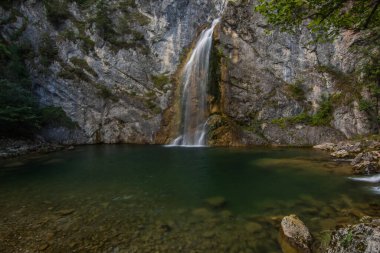 Ormanda sığ suları olan küçük güzel bir şelale.