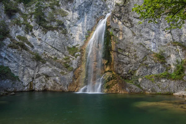 Ormandaki bir kaya duvarından küçük bir şelale.