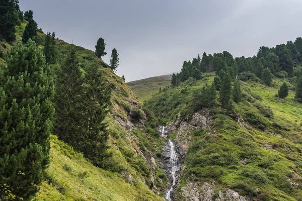 Маленький Водоспад Зелених Горах Під Час Піших Прогулянок Влітку — стокове фото