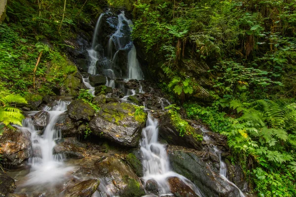 Yazın yeşil bir ormanda küçük şelaleler.