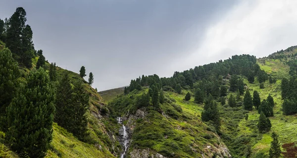 Дерева Скелястих Горах Під Час Пішохідного Панорамного Вигляду — стокове фото
