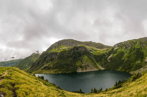Lac Montagne Avec Herbes Vertes Vue Panoramique Sur Les Arbres — Photo