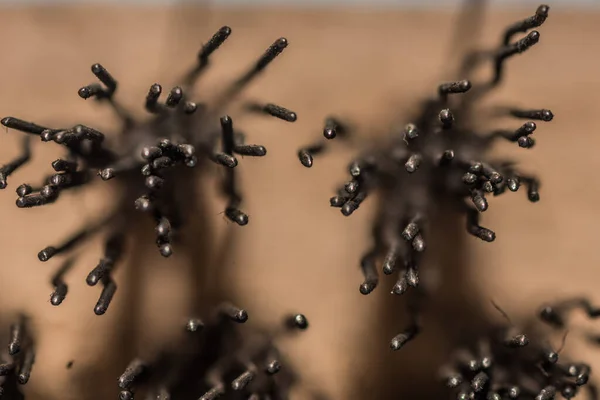 Fils Une Brosse Métallique Vue Macro Avec Blure Dans Atelier — Photo