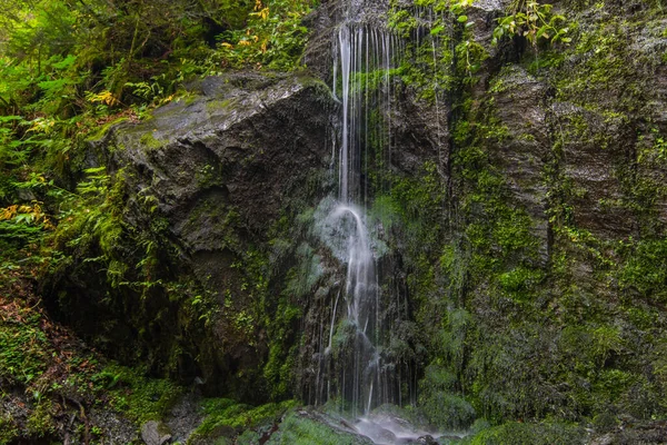 Feiner Zarter Wasserfall Sommer Wald — Stockfoto