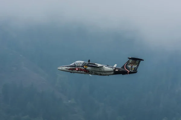 灰色の黒い飛行機が航空ショーで霧の中を飛ぶ — ストック写真