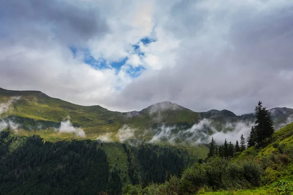 Дрібний Білий Туман Горах Під Час Піших Прогулянок Влітку — стокове фото
