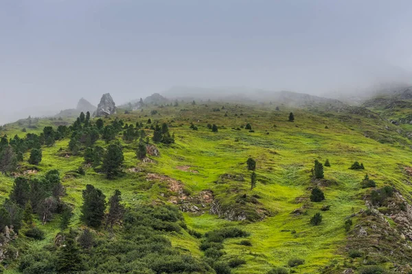 Зелені Гори Кущами Дерев Густим Туманом — стокове фото