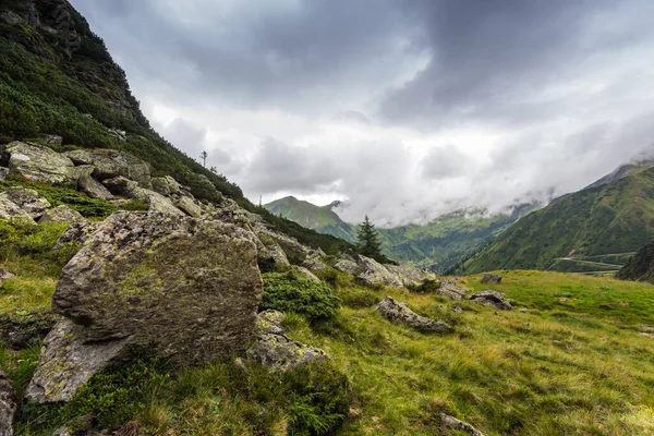 Stor Klippa Grön Äng Fjällen Sommaren — Stockfoto