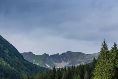 Ormanlı yüksek dağlar ve yazın gökyüzünde bulutlar.