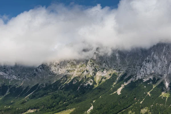 Dichter Nebel Grünen Gebirge Beim Wandern — Stockfoto