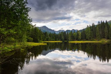 Yazın orman ve dağlarla dolu bir dağ gölünde güzel bir yansıma.