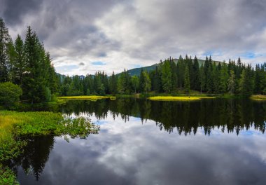 Sudaki çam ağaçları ve bulutların yansıması bir dağ gölü oluşturur.