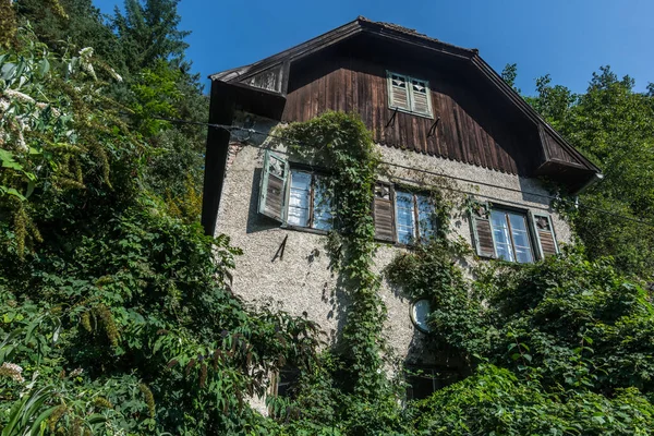 Casa Velha Coberto Floresta Verde — Fotografia de Stock