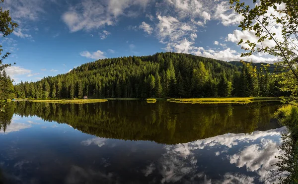 Reflectie Van Lucht Bos Een Helder Bergmeer Zomer — Stockfoto