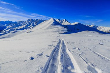 İsviçre 'nin ünlü dağlarının muhteşem manzarasıyla kayak yapmak. Güzel kar dağı kalesinde. Madde boynuzu ve Dent d 'Herens. Önde Büyük Çöl Buzulu..