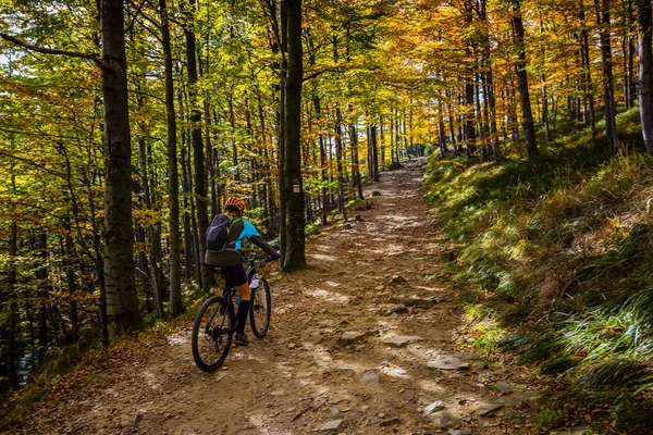 Ciclismo Mountain Bike Donna Sulla Pista Ciclabile Nella Foresta Autunnale — Foto Stock