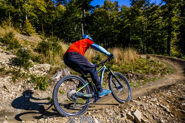 Mountainbike Cyklist Ridning Cykel Tidigt Våren Berg Skog Landskap Mannen — Stockfoto