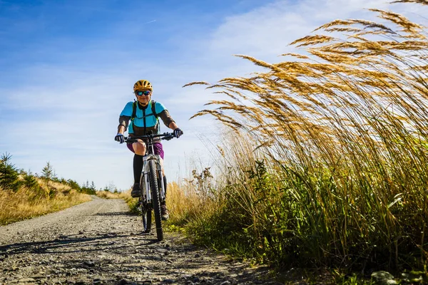 サイクリング 秋の森のサイクル道で山職女 秋の風景森で自転車に乗る山 女性のサイクリング Mtb 流れの上り坂道 — ストック写真