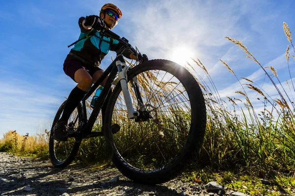 Cycling, mountain bikeing woman on cycle trail in autumn forest. Mountain biking in autumn landscape forest. Woman cycling MTB flow uphill trail.