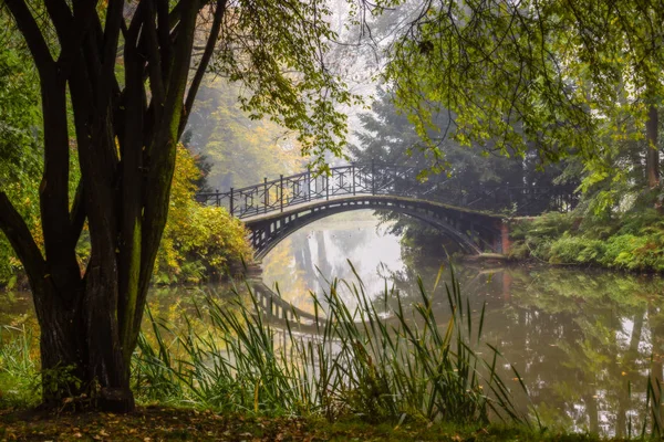 赤いカエデの葉の庭で美しい古い橋と霧の秋の風景の美しい景色 — ストック写真