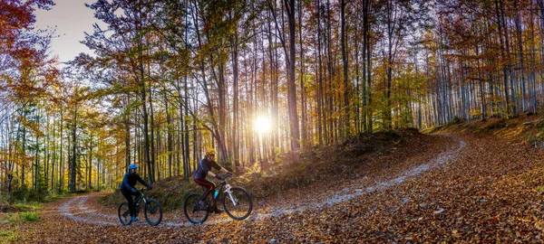 Cycling, mountain biker couple on cycle trail in autumn forest. Mountain biking in autumn landscape forest. Man and woman cycling MTB flow uphill trail.